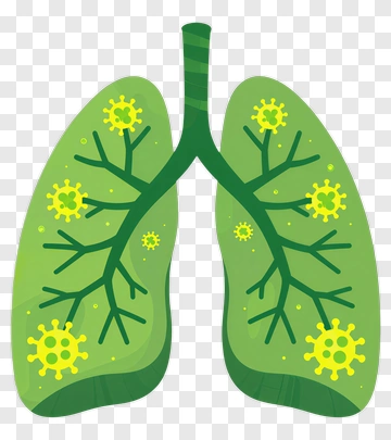 Illustration Of Lungs With Germs PNG