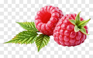 Fresh Raspberries With Green Leaves PNG