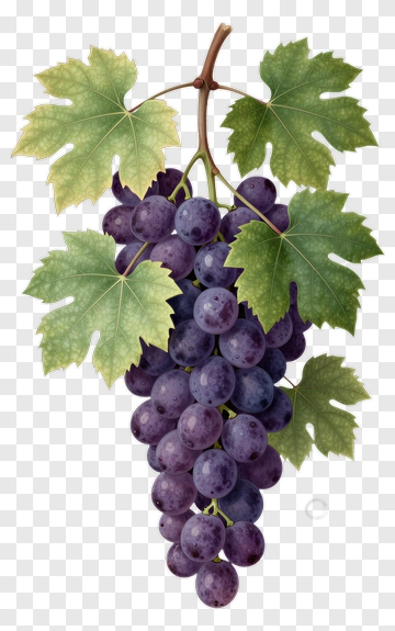 Bunch Of Grapes With Green Leaves PNG