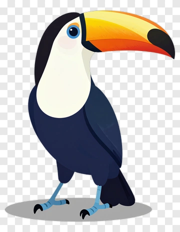 Cartoon Toucan With Colorful Beak PNG