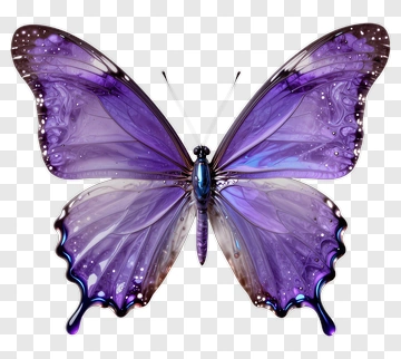 Purple Butterfly PNG
