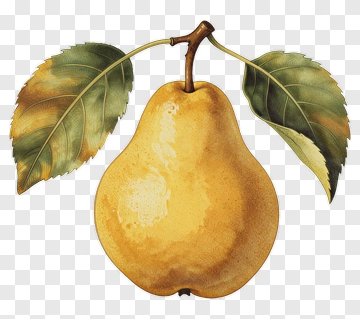 Yellow Pear With Leaves PNG