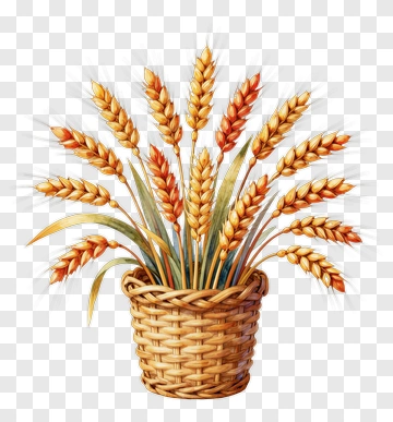 Wheat Basket With Golden Ears PNG
