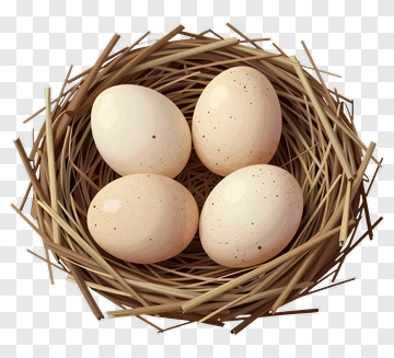 Nest With Four Eggs PNG