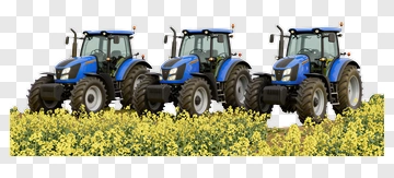Blue Tractors In A Field Of Yellow Flowers PNG