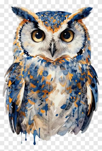 Colorful Watercolor Owl PNG