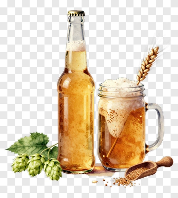 Beer Bottle And Mug With Hops And Barley PNG