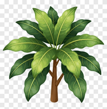 Colorful Tree With Green Leaves PNG