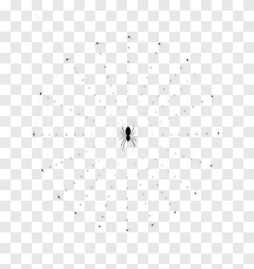 Spider In A Web Pattern PNG