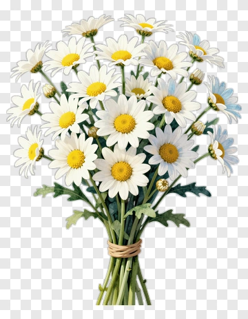 Flower Bouquet Of Daisies PNG