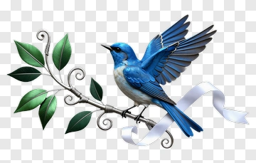 Blue Bird Perched On A Branch PNG