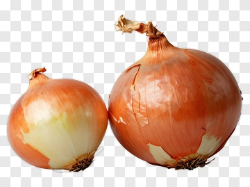 Two Onions With Brown Skin PNG