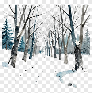 Winter Forest With Snowy Path PNG