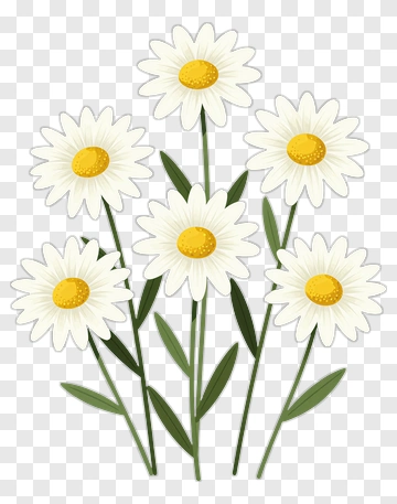 Flower Bouquet With White Daisies PNG