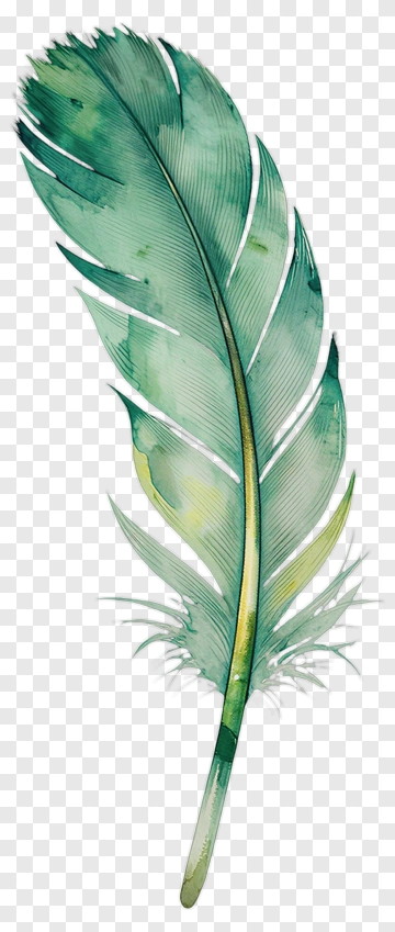 Watercolor Green Feather PNG