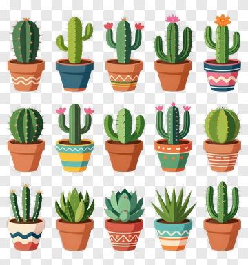 Colorful Cactus Collection In Decorative Pots PNG