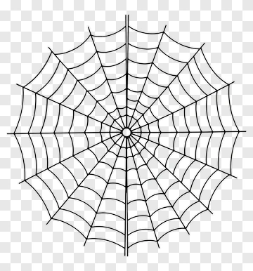 Black Spider Web PNG