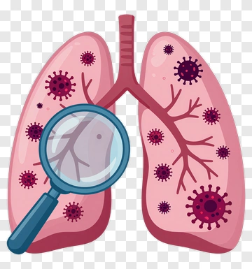 Illustration Of Lungs With Magnifying Glass And Viruses PNG