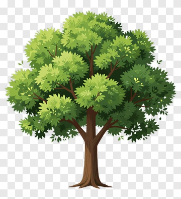 Colorful Tree PNG
