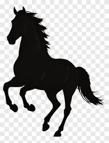 Black Horse Running PNG