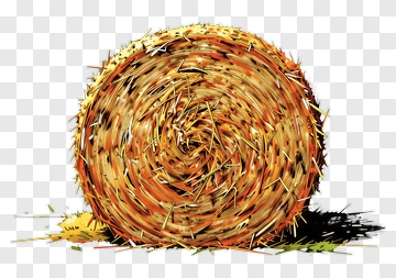 Hay Bale PNG