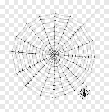 Spider Web With Spider PNG