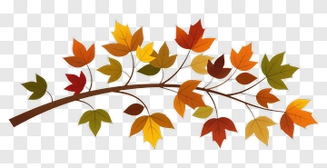 Colorful Autumn Leaves Branch PNG