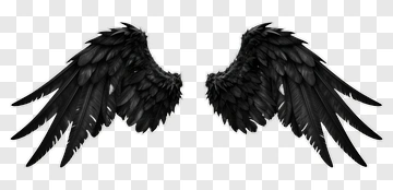 Black Angel Wings PNG