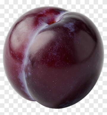Purple Plum PNG