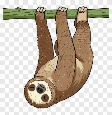 Cartoon Sloth Hanging From A Tree Branch PNG