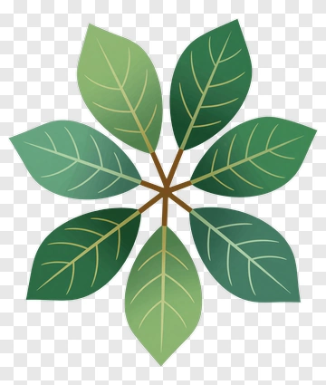 Green Leaf Arrangement PNG