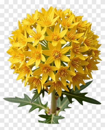 Yellow Flower Bouquet PNG