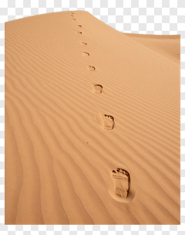 Footprints In The Sand Dunes PNG
