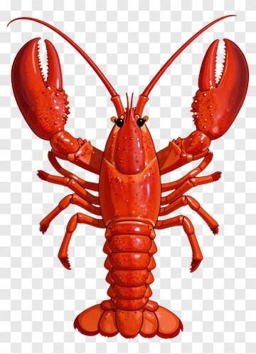 Cartoon Lobster PNG