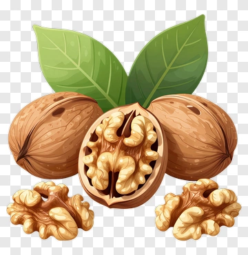 Walnuts With Leaves PNG