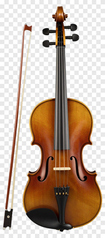 Violin With Bow PNG