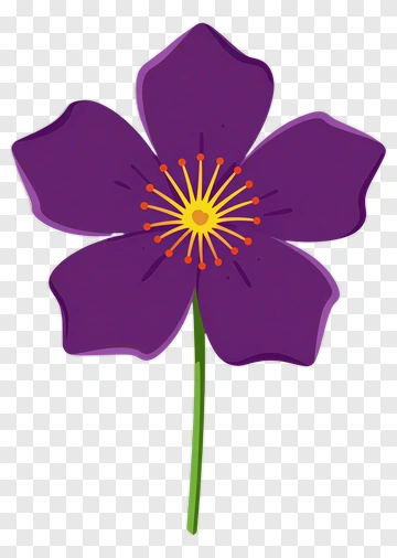 Purple Flower With Yellow Center PNG