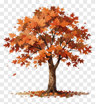 Colorful Maple Tree With Autumn Leaves PNG