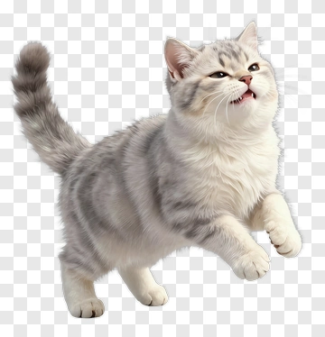 3D Cat Playing PNG