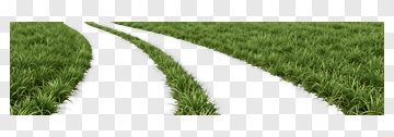 Curved Path Through Grass PNG