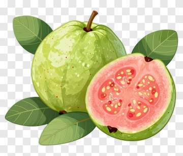 Guava With Leaves PNG