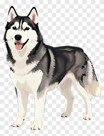 Cartoon Siberian Husky PNG