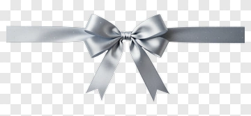 Silver Ribbon Bow PNG