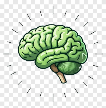 Cartoon Brain With Radiating Lines PNG