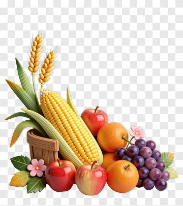 Colorful Fruit And Wheat Composition PNG