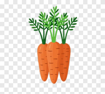 Bunch Of Carrots With Green Leaves PNG