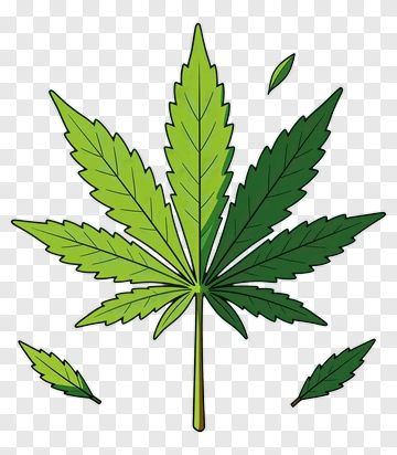 Green Cannabis Leaf PNG