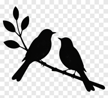Silhouette Of Two Birds On A Branch PNG