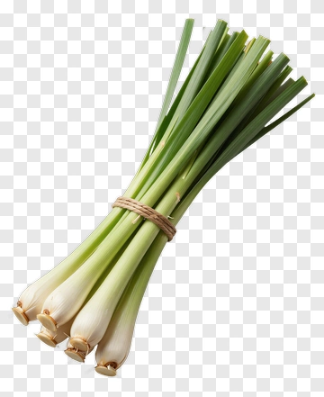 Fresh Green Onions Bunch PNG
