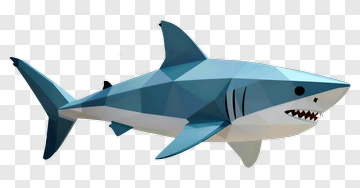3D Shark PNG